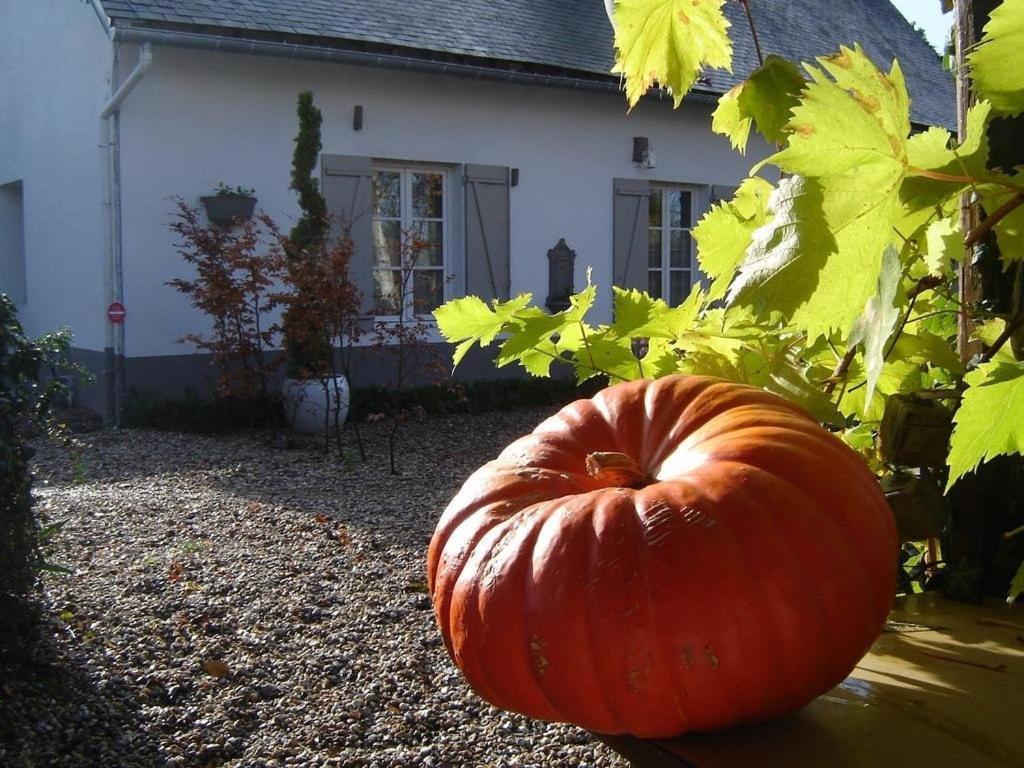 Gite Cottage D'Hamicourt Aux Portes De La Baie De Somme Exterior foto